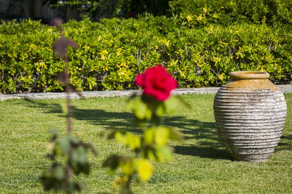 Olive Grove Studios & Apartments Svoronata Exteriér fotografie